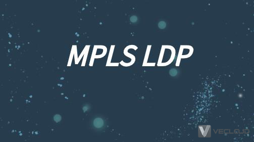 MPLS LDP指的是什么?